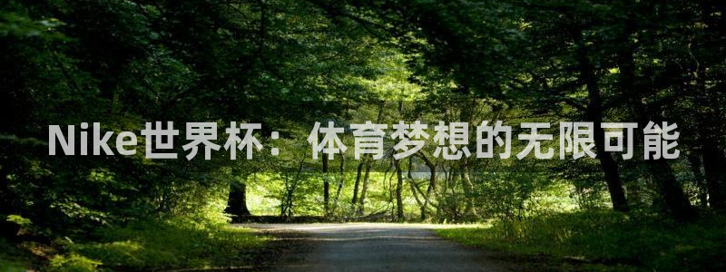 世界杯足球赛2026赛程时间：Nike世界杯：体育梦想的无限可能
