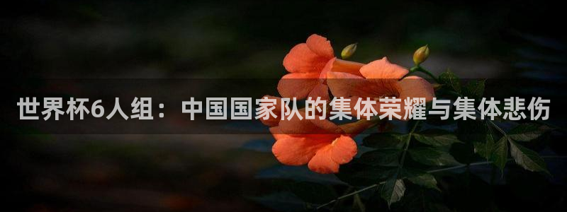 世界杯第一场比赛：世界杯6人组：中国国家队的集体荣耀与集体悲伤
