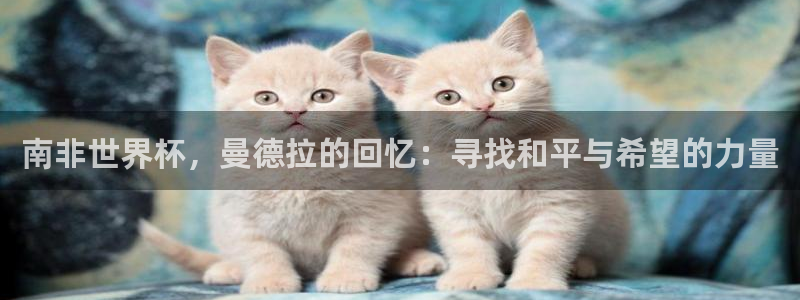 欧洲区世界杯预选赛：南非世界杯，曼德拉的回忆：寻找和平与希望的力量
