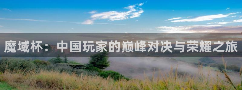 世界杯小组赛赛程：魔域杯：中国玩家的巅峰对决与荣耀之旅