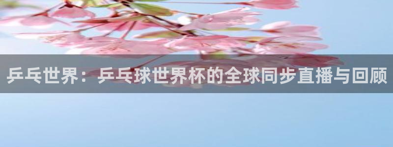世界杯预选赛规则：乒乓世界：乒乓球世界杯的全球同步直播与回顾
