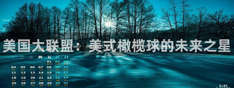 今年的世界杯：美国大联盟：美式橄榄球的未来之星