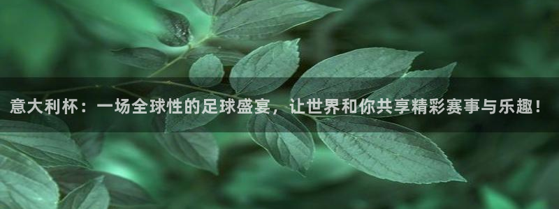 2026世界杯赛制：意大利杯：一场全球性的足球盛宴，让世界和你共享精彩赛事与乐趣！