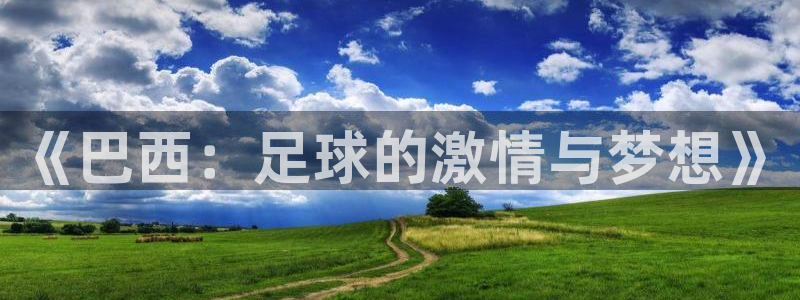 2006年世界杯冠军：《巴西：足球的激情与梦想》