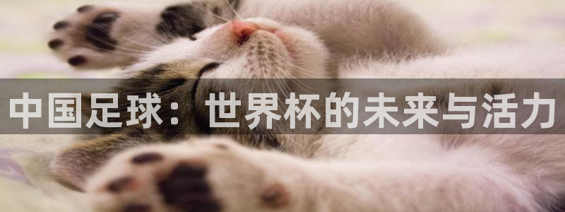 联赛杯直播：中国足球：世界杯的未来与活力