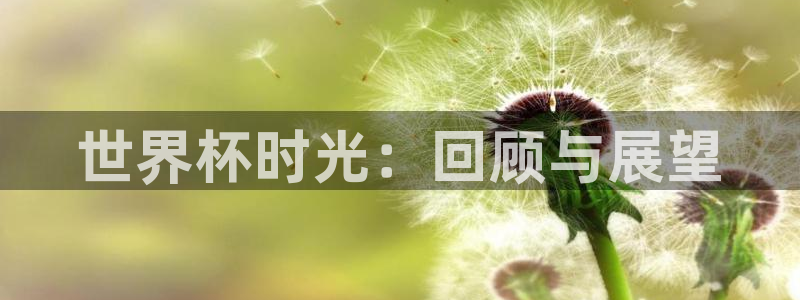 世界杯预赛赛程：世界杯时光：回顾与展望