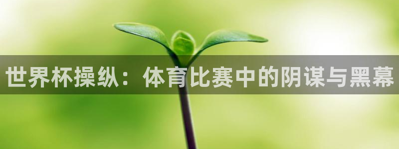 世界杯足球赛：世界杯操纵：体育比赛中的阴谋与黑幕