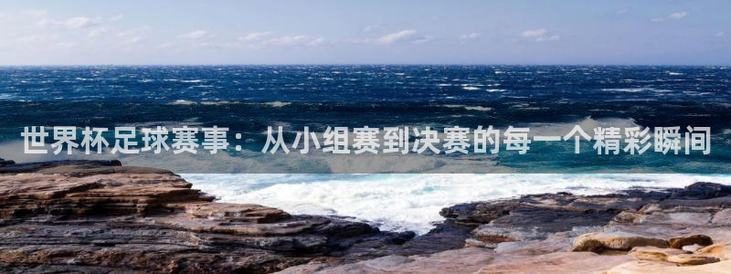 亚洲杯足球：世界杯足球赛事：从小组赛到决赛的每一个精彩瞬间
