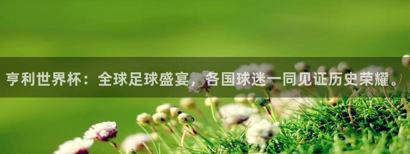世界杯决赛圈球队：亨利世界杯：全球足球盛宴，各国球迷一同见证历史荣耀。