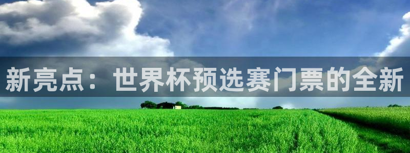 世界杯比赛：新亮点：世界杯预选赛门票的全新