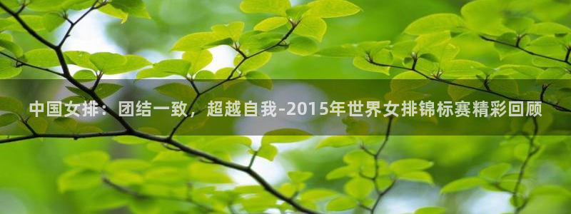 世俱杯直播：中国女排：团结一致，超越自我-2015年世界女排锦标赛精彩回顾