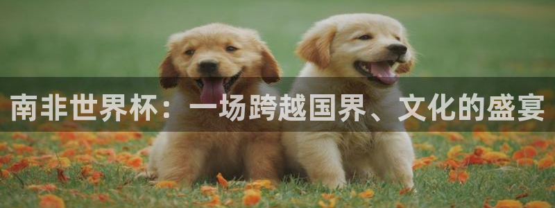 2026世界杯官网入口：南非世界杯：一场跨越国界、文化的盛宴