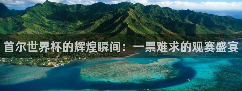中国 世界杯：首尔世界杯的辉煌瞬间：一票难求的观赛盛宴